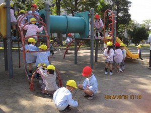 IMG_9315[1]