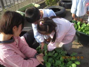 IMG_9709[1]