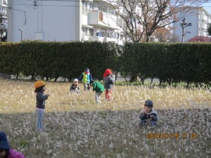 IMG_0165
