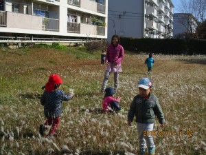 IMG_0168