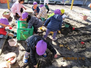 IMG_0908