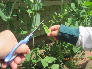 IMG_0537[1]