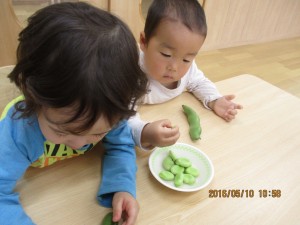 IMG_0007