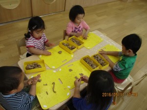 IMG_0010