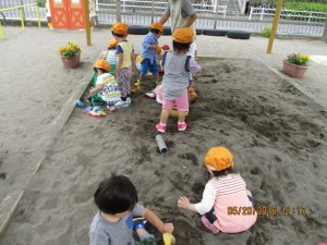 IMG_1311