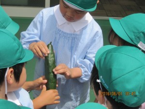 IMG_1202[1]