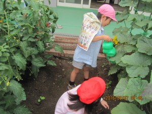 IMG_1235[1]