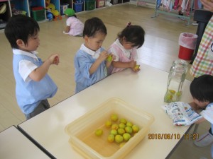 IMG_1269[1]