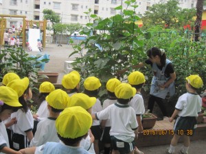 IMG_1428[1]