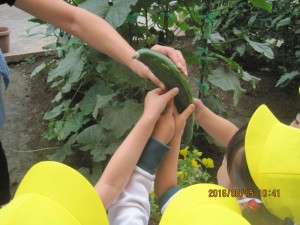 IMG_1432[1]