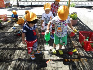 IMG_1508 (1)