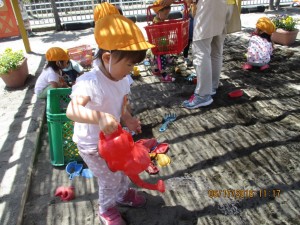 IMG_1509 (1)