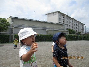 IMG_0032 (1)