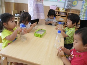 IMG_0045 (1)