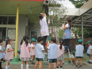 IMG_1813[1]