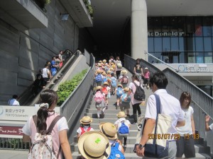 IMG_2421[1]