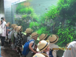 IMG_2431[1]