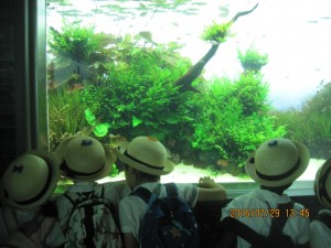 IMG_2436[1]