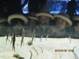 IMG_2463[1]
