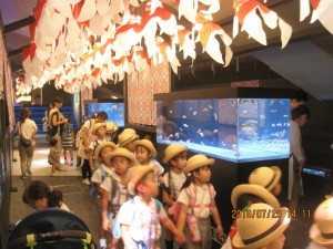 IMG_2479[1]