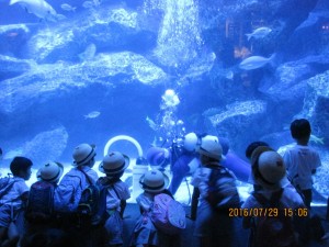 IMG_2522[1]