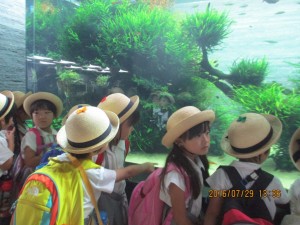 IMG_2662[1]