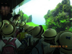 IMG_2664[1]