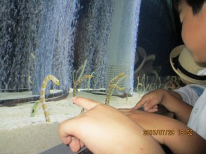 IMG_2672[1]