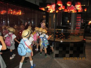 IMG_2687[1]