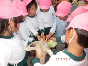 cimg2882
