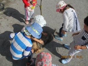 img_0333