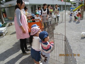 img_0760