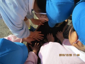 img_00601
