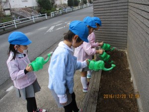 img_13431
