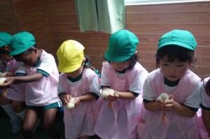 048 (2)-min