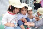 さくら組🥕人参種まき