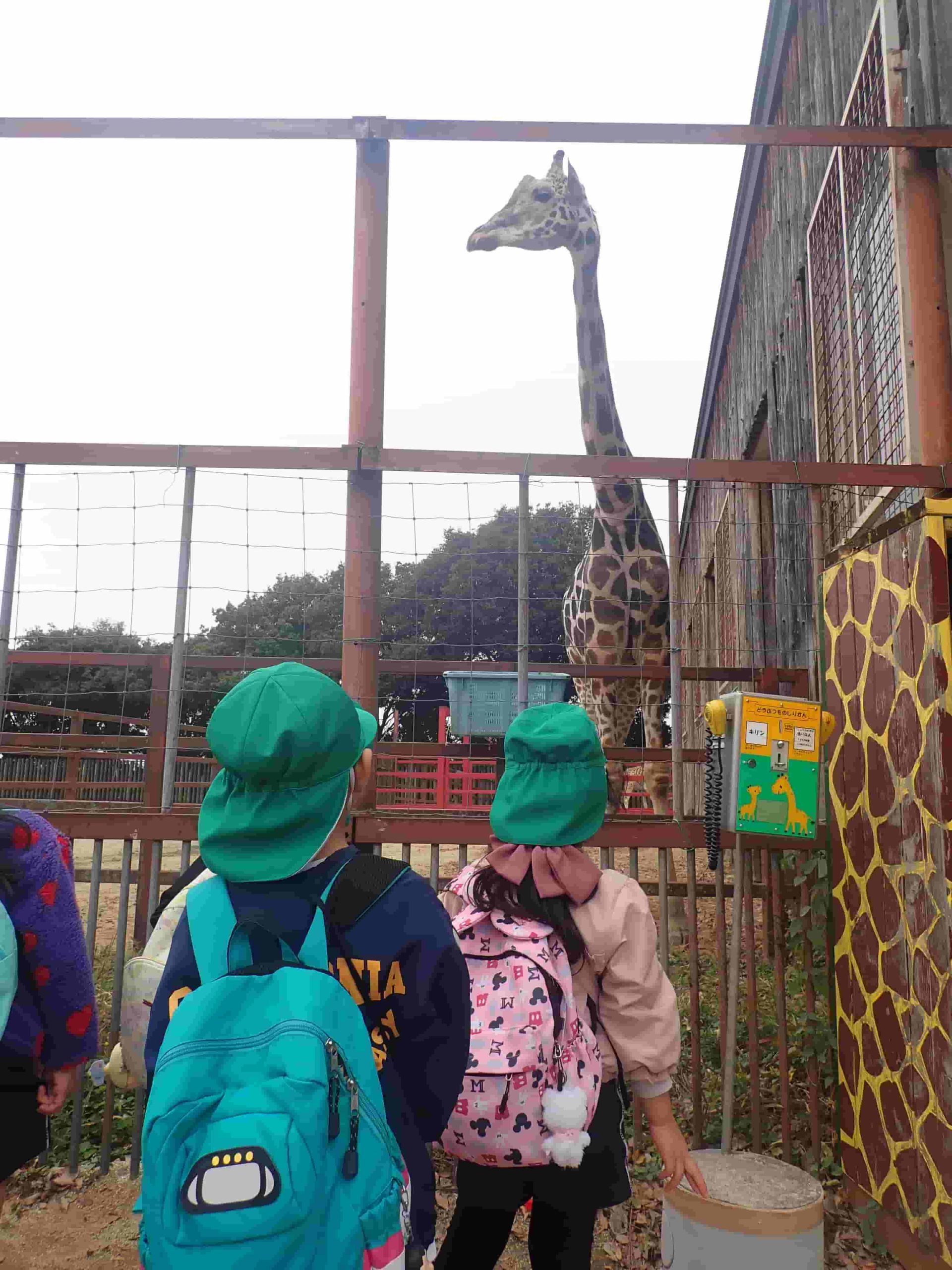 ★バス遠足★~東武動物公園~