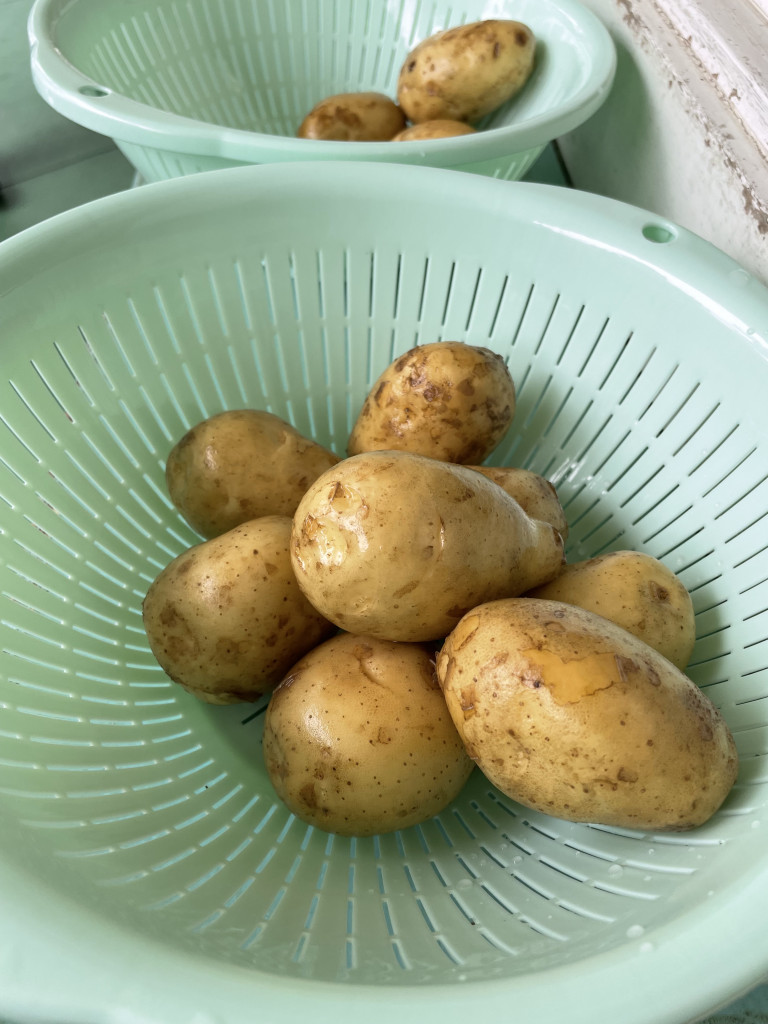 食育活動🌟